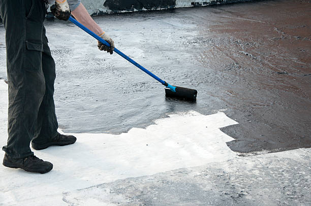 Best Concrete Sealing and Maintenance in Palm Harbor, FL